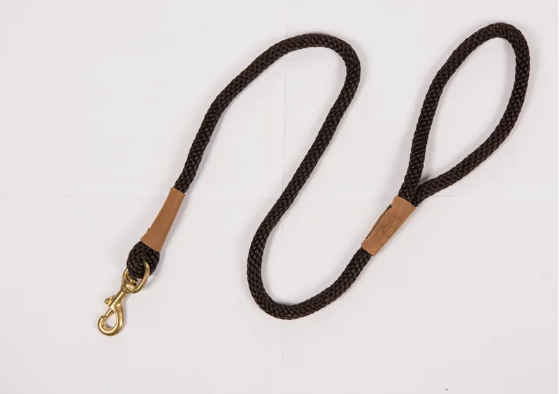 Ruff and Tumble Clip Lead - Mud